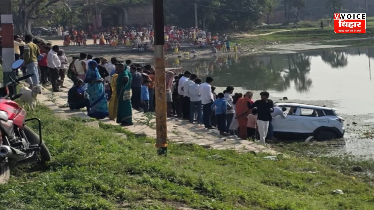 GridArt 20260224 163722043