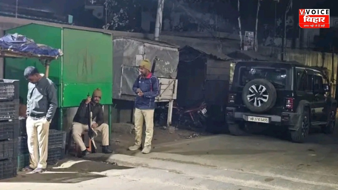 GridArt 20260225 141807723