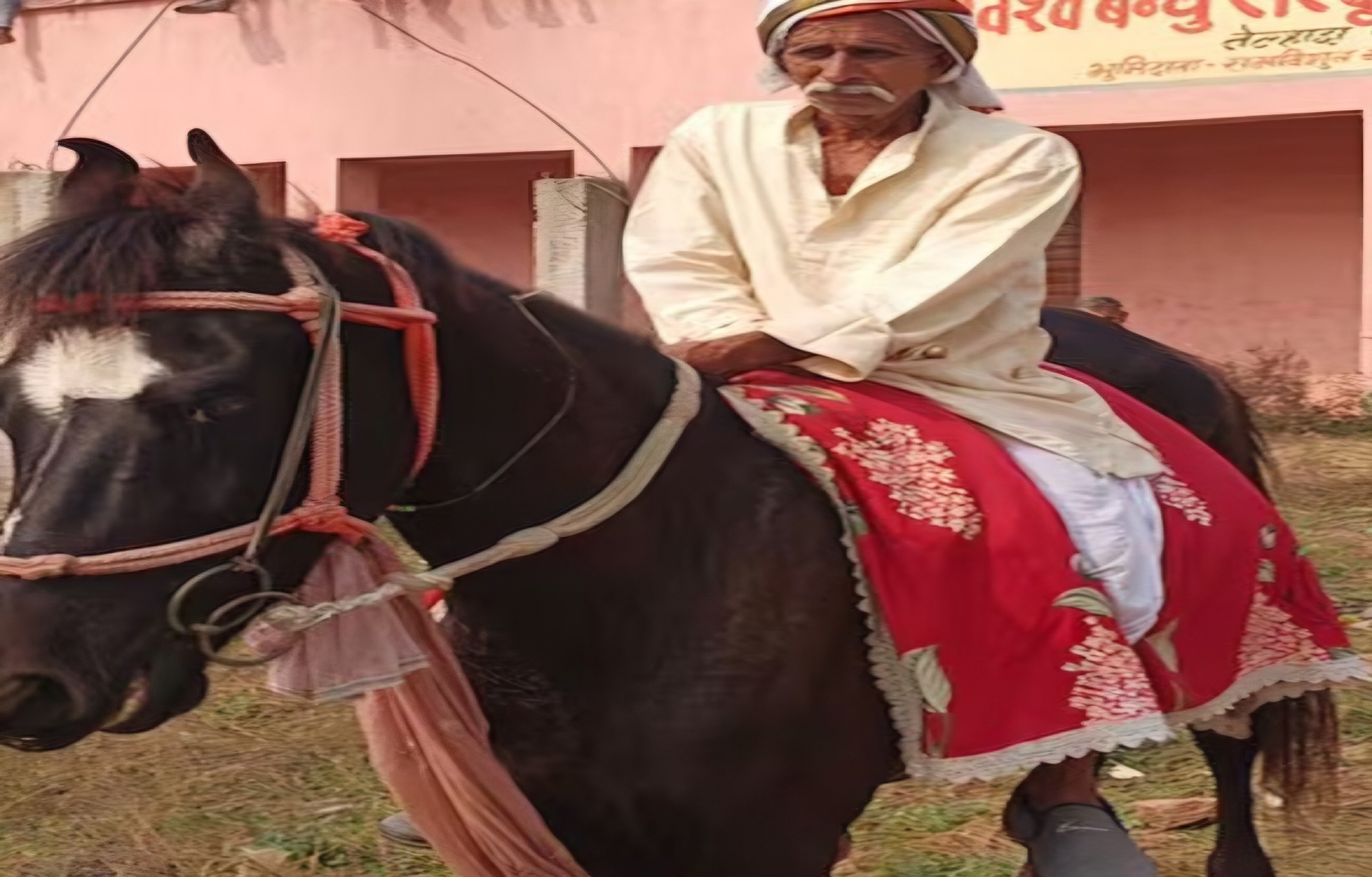 बेटे ने पूरा किया पिता का अधूरा ख्वाब, नौकरी मिलते ही 75 हजार का घोड़ा गिफ्ट किया