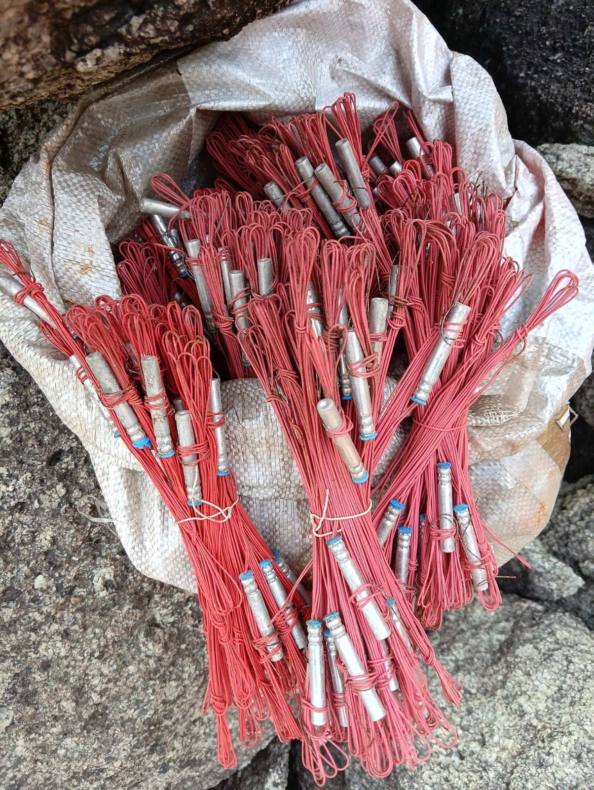 गया में नक्सलियों के ‘डेथ ट्रैप’ का पर्दाफाश: गुफा में छिपा था विस्फोटकों का जखीरा, CRPF ने टाला बड़ा हमला