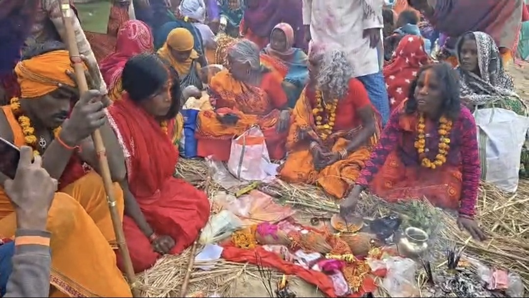 Screenshot 20260201 124511 WhatsApp