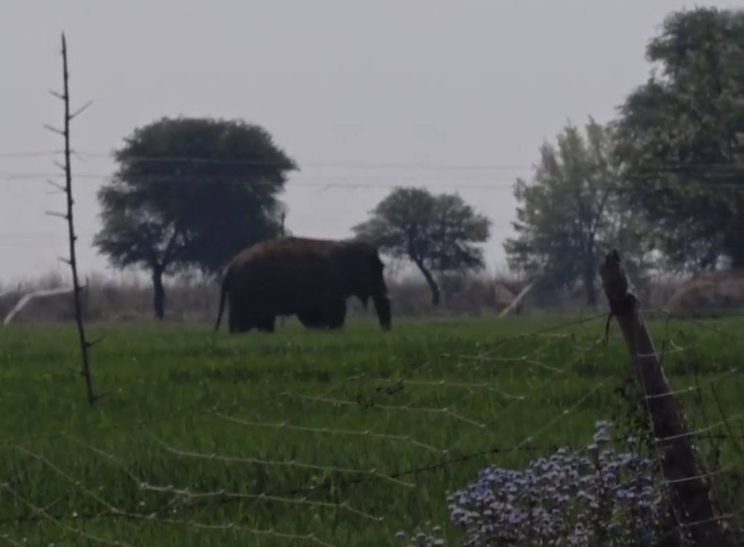 Screenshot 20260226 202422 WhatsApp