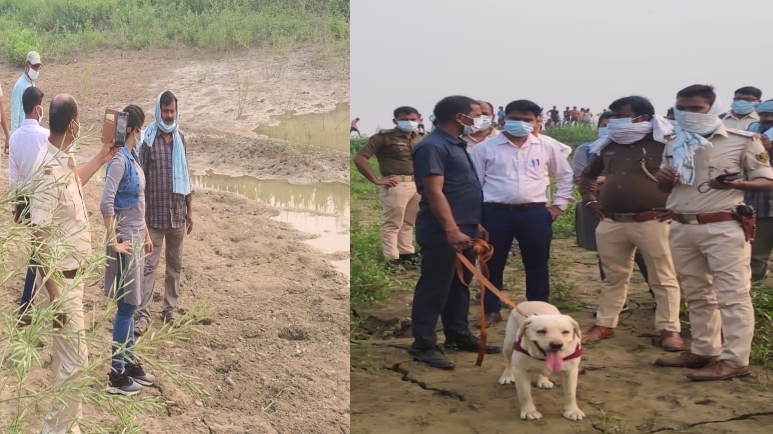 Bhagalpur Horror: मकई के खेत में मिले लाश के 5 टुकड़े! सिर लेकर भागे हत्यारे; कलाई की घड़ी खोलेगी राज? घोघा में सनसनी