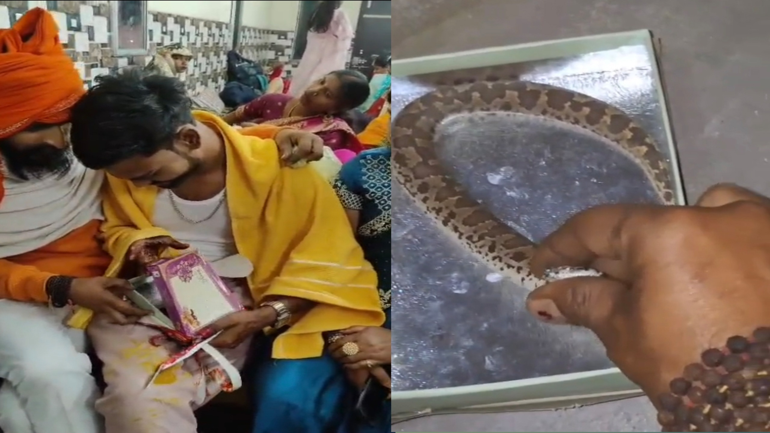 ‘नागराज’ वाला गिफ्ट! मिठाई के डिब्बे में मिला जिंदा सांप; दोस्त की ‘खौफनाक’ शरारत देख दूल्हे के उड़े होश