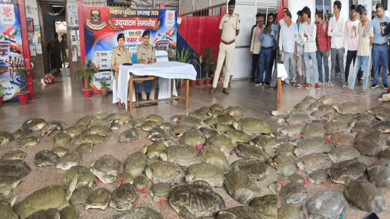 वाराणसी के घाटों से कोलकाता भेजे जा रहे थे कछुए; पटना जंक्शन पर रेल पुलिस का बड़ा एक्शन, बेजुबानों के मुंह पर लगा रखी थी ‘क्लिप’