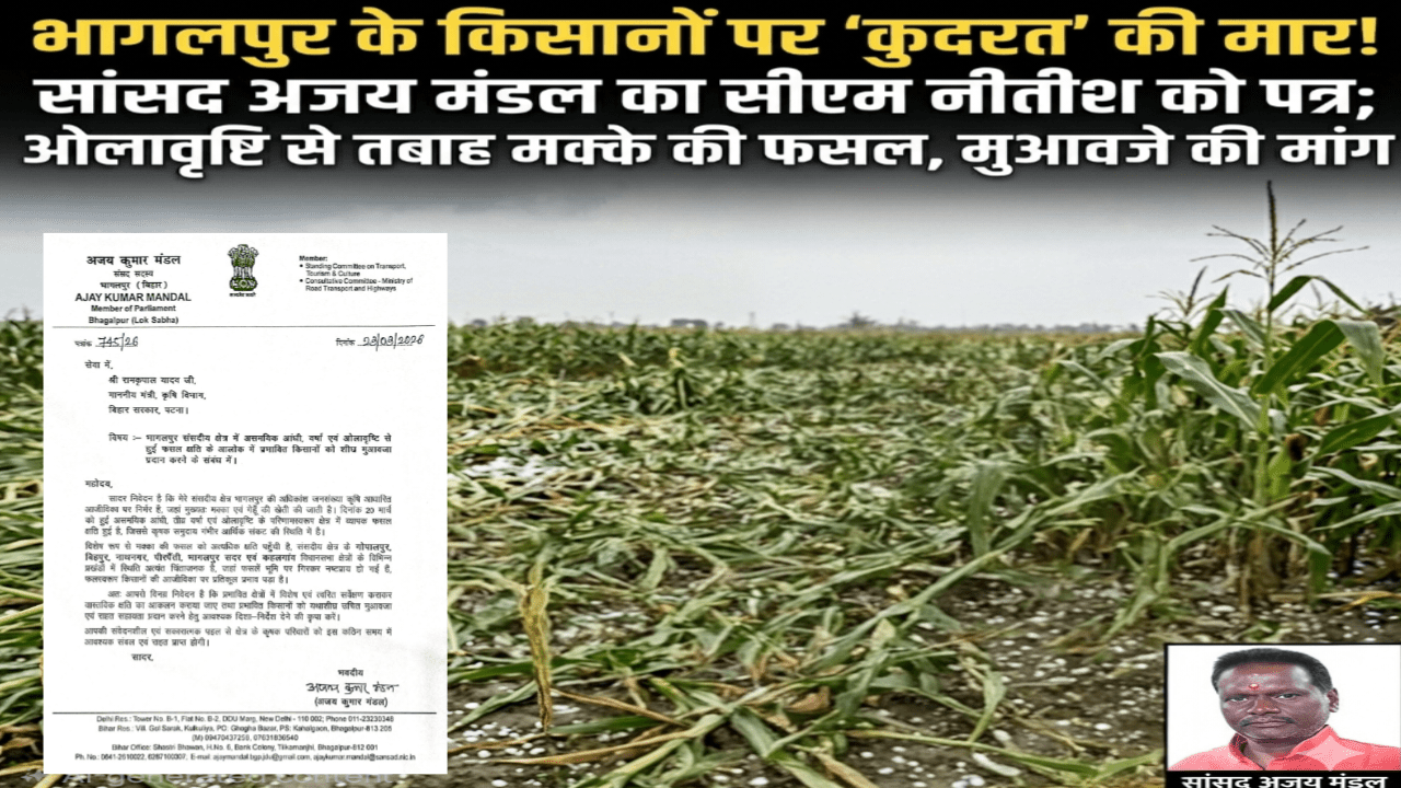 भागलपुर के किसानों पर ‘कुदरत’ की मार! सांसद अजय मंडल ने सीएम नीतीश को लिखा पत्र; ओलावृष्टि से तबाह हुई मक्के की फसल, मुआवजे की मांग