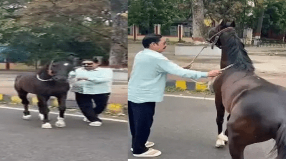 जेल से बाहर आते ही बदला अंदाज: ‘लाडला’ के साथ दिखे बाहुबली अनंत सिंह, महादंगल की तैयारी तेज