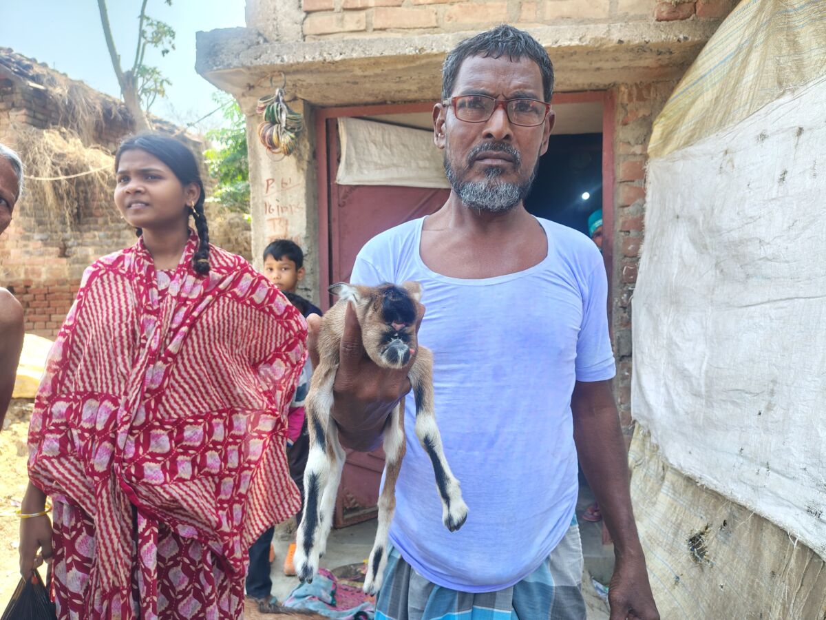 जगदीशपुर में "अनोखा" जन्म: बकरी ने दिया विचित्र बच्चे को जन्म; देखने उमड़ी भीड़, मालिक बोला— "यह कयामत की निशानी", वैज्ञानिकों ने बताया 'जेनेटिक' मामला 1 जगदीशपुर में "अनोखा" जन्म: बकरी ने दिया विचित्र बच्चे को जन्म; देखने उमड़ी भीड़, मालिक बोला— "यह कयामत की निशानी", वैज्ञानिकों ने बताया 'जेनेटिक' मामला