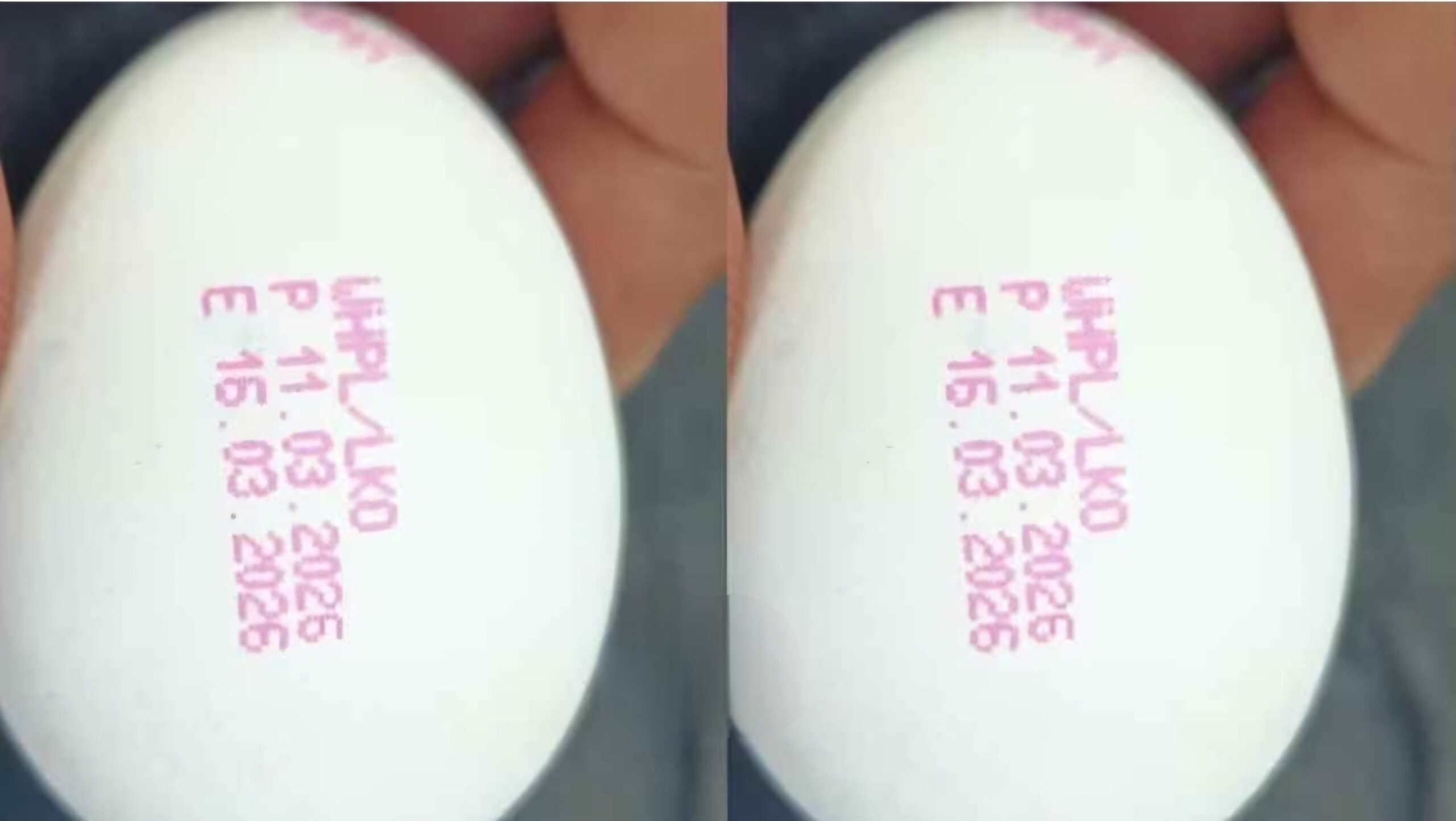 UP में बड़ा फैसला: 1 अप्रैल से हर अंडे पर लिखी होगी उत्पादन और एक्सपायरी डेट, नियम तोड़ने पर सख्त कार्रवाई