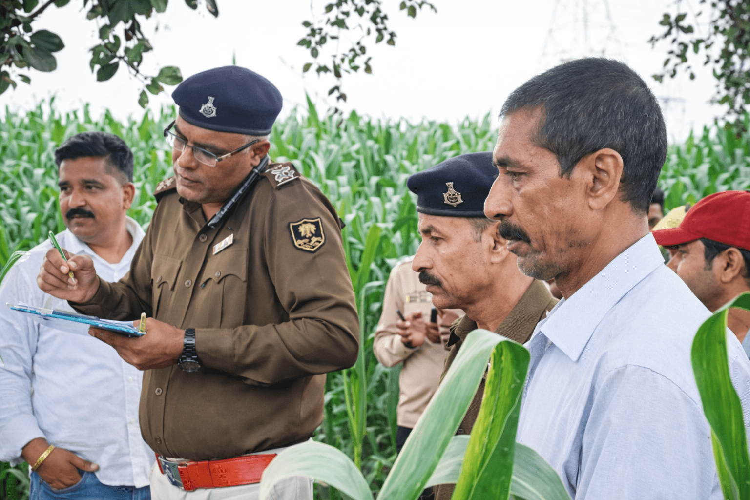 file 00000000591c72098472131211199952