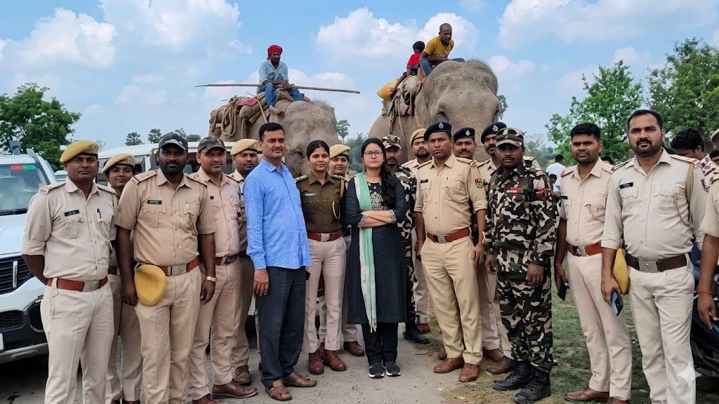 सिवान में अवैध रूप से रखे गए हाथियों का रेस्क्यू, वन विभाग और पुलिस की बड़ी कार्रवाई