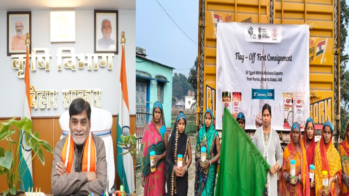 बिहार के 'सफेद स्वर्ण' की वैश्विक उड़ान: पूर्णिया से दुबई तक समुद्री मार्ग से पहुँचा मिथिला मखाना; राष्ट्रीय मखाना बोर्ड और ₹476 करोड़ की योजना से बदली 5 लाख किसानों की तकदीर; 'ब्रांड बिहार' का अंतरराष्ट्रीय शंखनाद 1 बिहार के 'सफेद स्वर्ण' की वैश्विक उड़ान: पूर्णिया से दुबई तक समुद्री मार्ग से पहुँचा मिथिला मखाना; राष्ट्रीय मखाना बोर्ड और ₹476 करोड़ की योजना से बदली 5 लाख किसानों की तकदीर; 'ब्रांड बिहार' का अंतरराष्ट्रीय शंखनाद