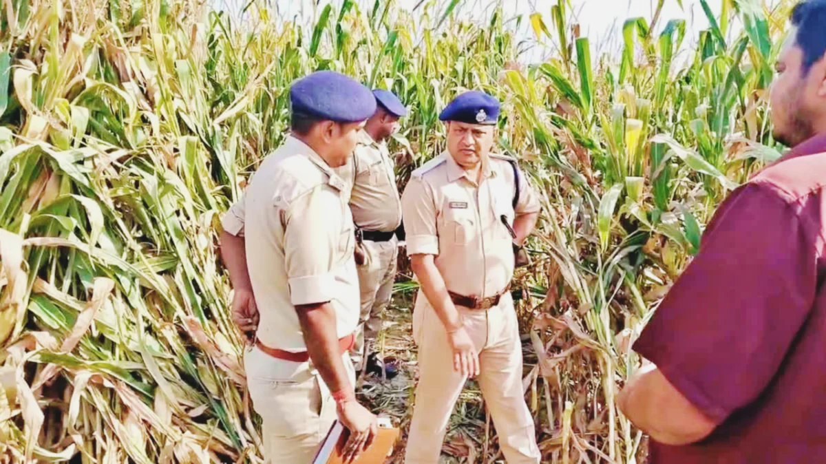 खगड़िया में सनसनी: मकई के खेत में महिला का क्षत-विक्षत शव बरामद, हत्या की आशंका से इलाके में दहशत