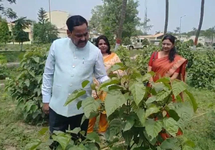 सबौर कृषि विश्वविद्यालय: बिहार में सिंदूर की खेती शुरू; किसानों की बढ़ेगी आय 1 सबौर कृषि विश्वविद्यालय: बिहार में सिंदूर की खेती शुरू; किसानों की बढ़ेगी आय