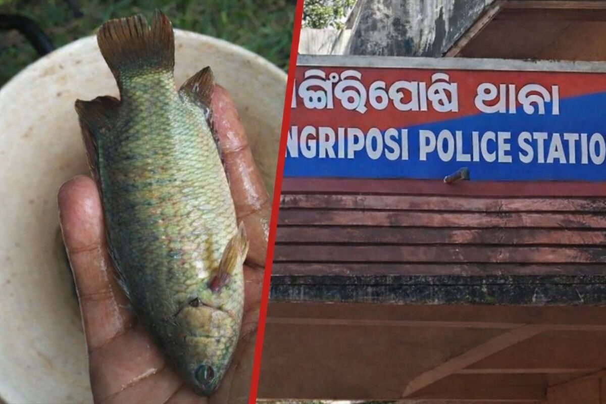 मछली पकड़ते समय दर्दनाक हादसा: जिंदा मछली गले में फंसने से युवक की मौत, इलाके में सनसनी