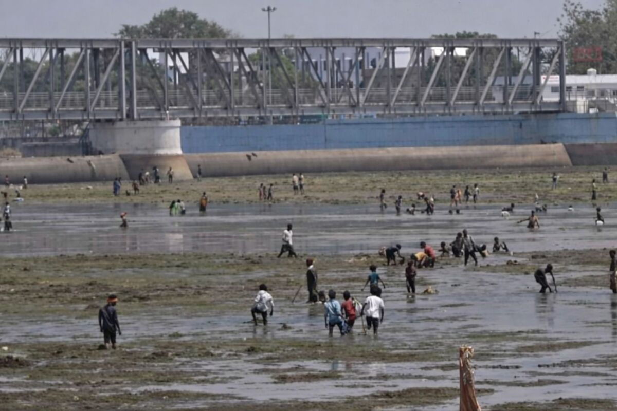 देवघाट समेत अन्य घाटों की सफाई की तैयारी तेज, दुर्गंध की समस्या से निपटने के लिए प्रशासन का बड़ा कदम 1 देवघाट समेत अन्य घाटों की सफाई की तैयारी तेज, दुर्गंध की समस्या से निपटने के लिए प्रशासन का बड़ा कदम