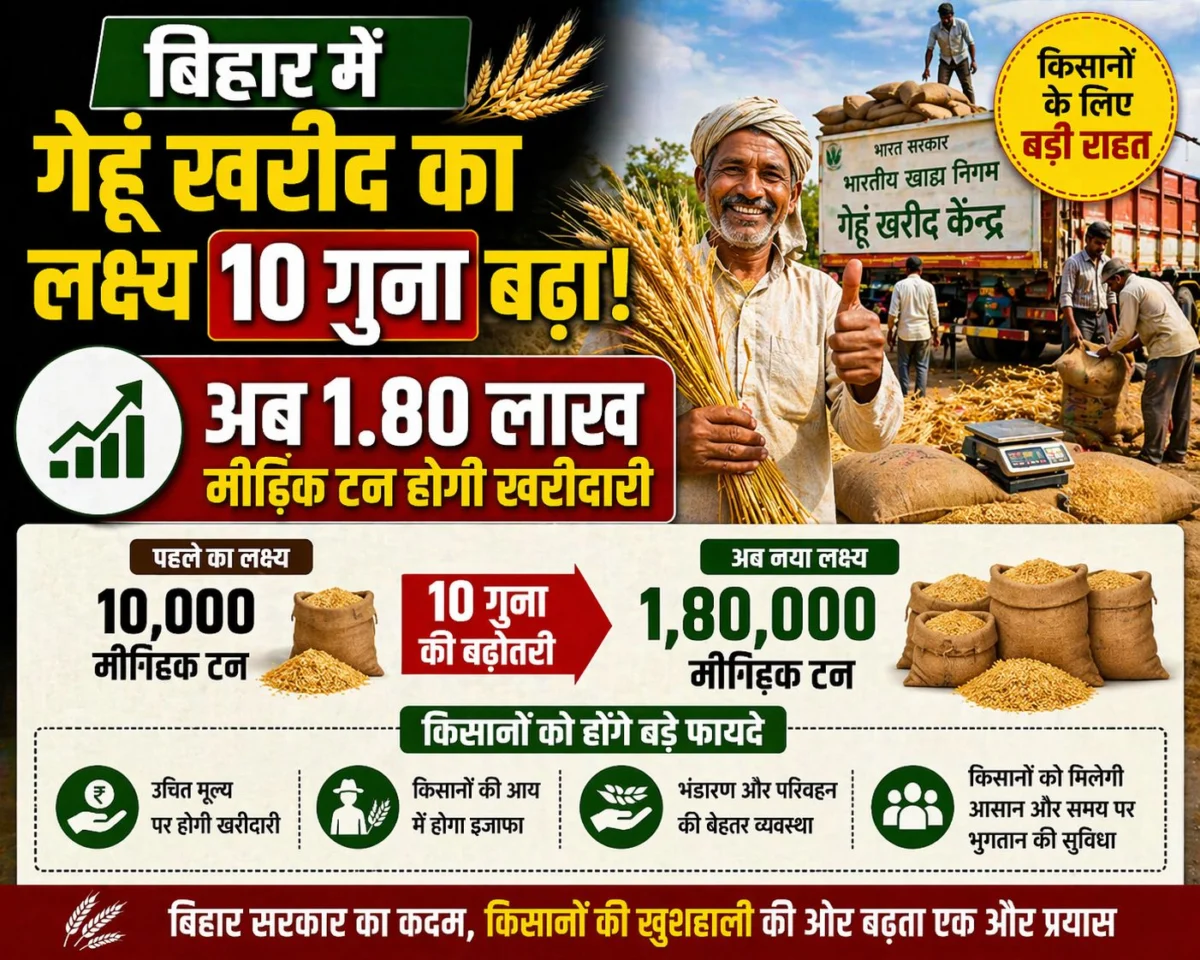 ​बिहार में गेहूं खरीद का लक्ष्य 10 गुना बढ़ा: अब 1.80 लाख मीट्रिक टन होगी खरीदारी; किसानों के लिए बड़ी राहत