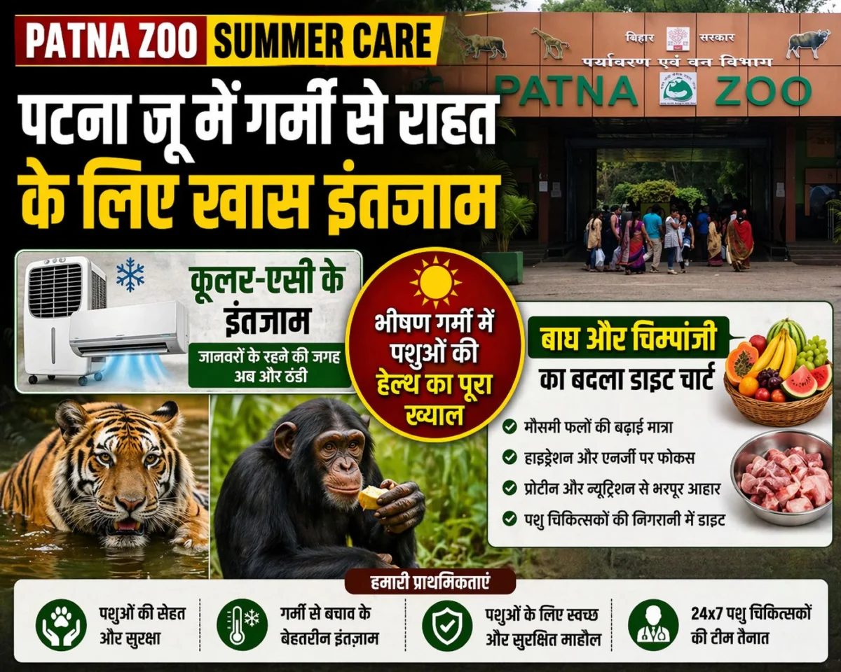 ​Patna Zoo Summer Care: पटना जू में गर्मी से राहत के लिए कूलर-एसी के इंतजाम, बाघ और चिम्पांजी का बदला डाइट चार्ट