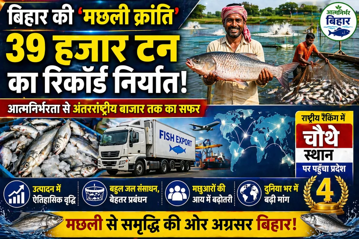 बिहार की 'मछली क्रांति': 39 हजार टन का रिकॉर्ड निर्यात; आत्मनिर्भरता से अंतरराष्ट्रीय बाजार तक का सफर, राष्ट्रीय रैंकिंग में चौथे स्थान पर पहुँचा प्रदेश 1 बिहार की 'मछली क्रांति': 39 हजार टन का रिकॉर्ड निर्यात; आत्मनिर्भरता से अंतरराष्ट्रीय बाजार तक का सफर, राष्ट्रीय रैंकिंग में चौथे स्थान पर पहुँचा प्रदेश