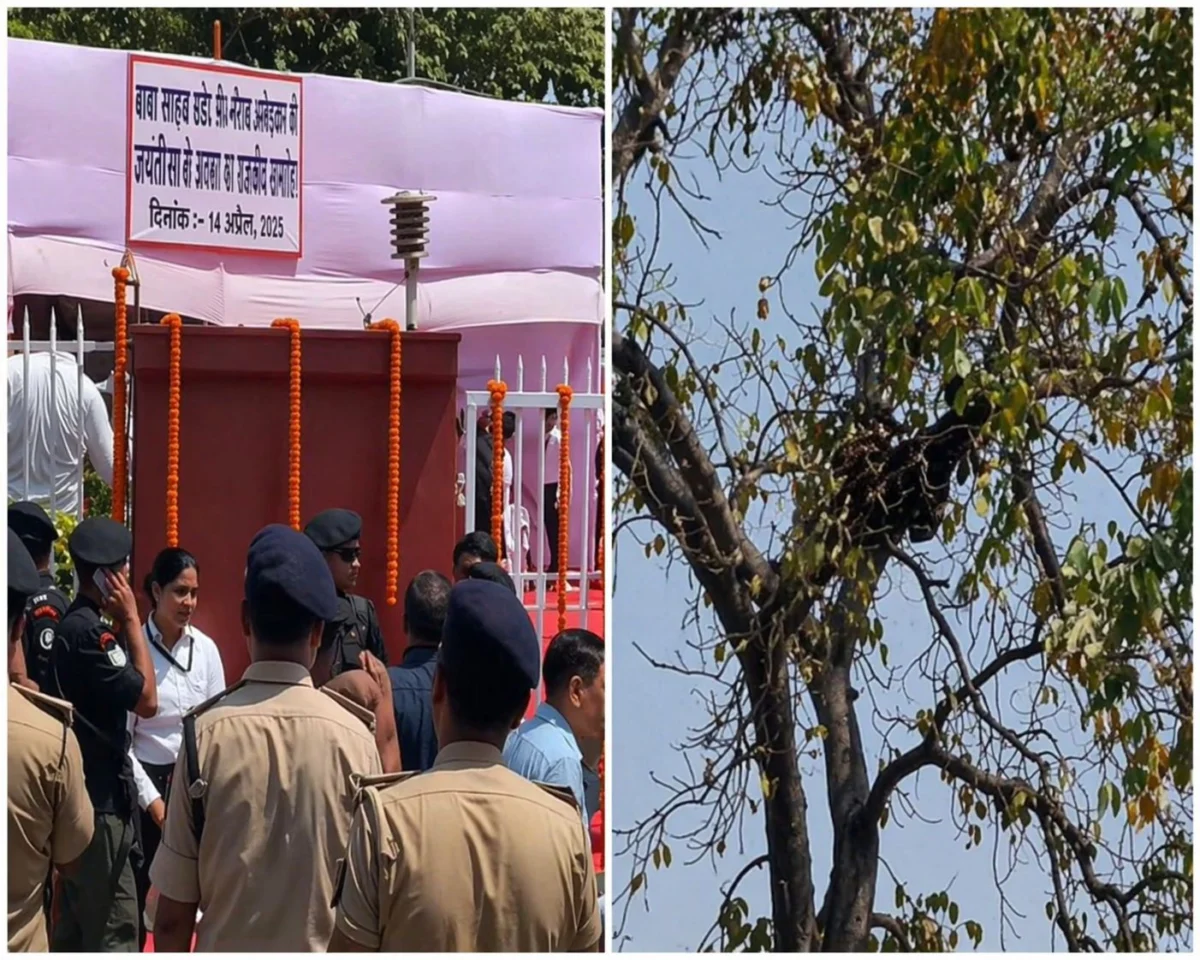 अंबेडकर जयंती कार्यक्रम में अचानक मधुमक्खियों का हमला, मंच पर मची अफरा-तफरी, कई लोग घायल