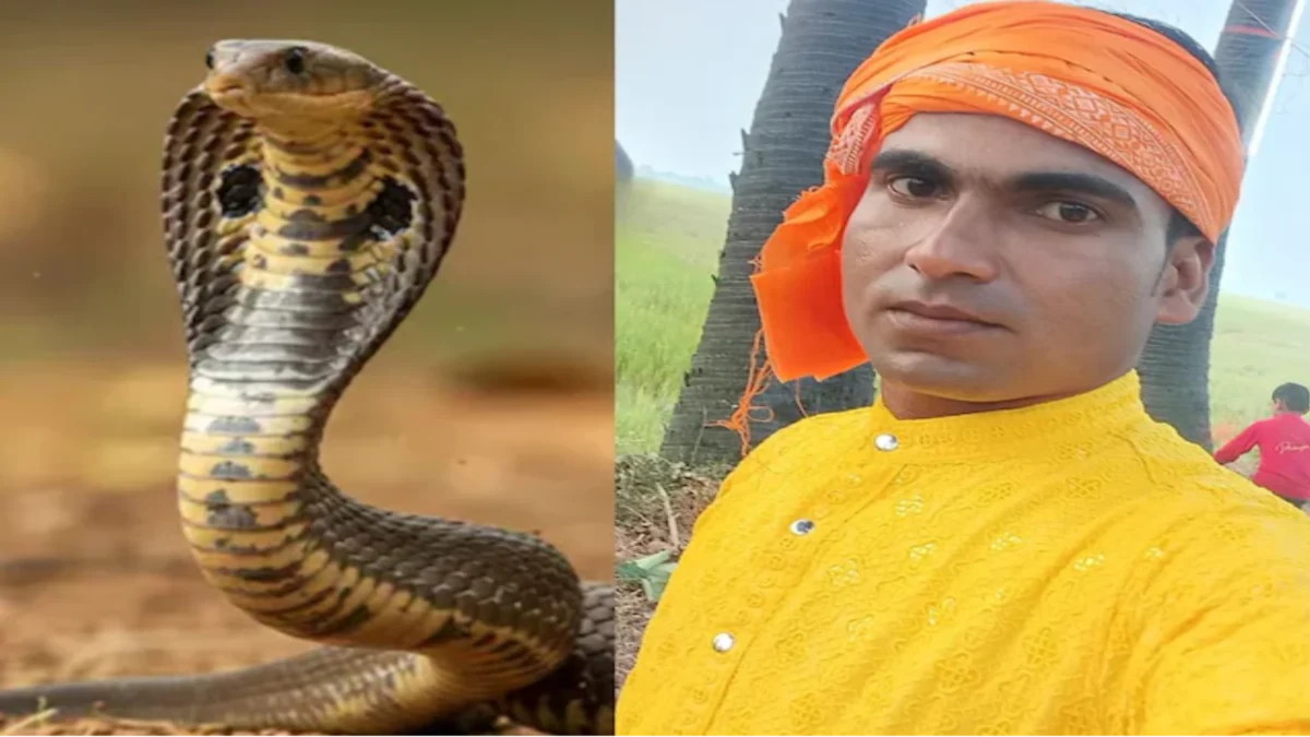 खुशियों की शहनाई से पहले गूंजी चीखें: मुंगेर में हल्दी की रस्म के दौरान दूल्हे को सांप ने डसा, इकलौते बेटे की मौत से उजड़ा परिवार 1 खुशियों की शहनाई से पहले गूंजी चीखें: मुंगेर में हल्दी की रस्म के दौरान दूल्हे को सांप ने डसा, इकलौते बेटे की मौत से उजड़ा परिवार