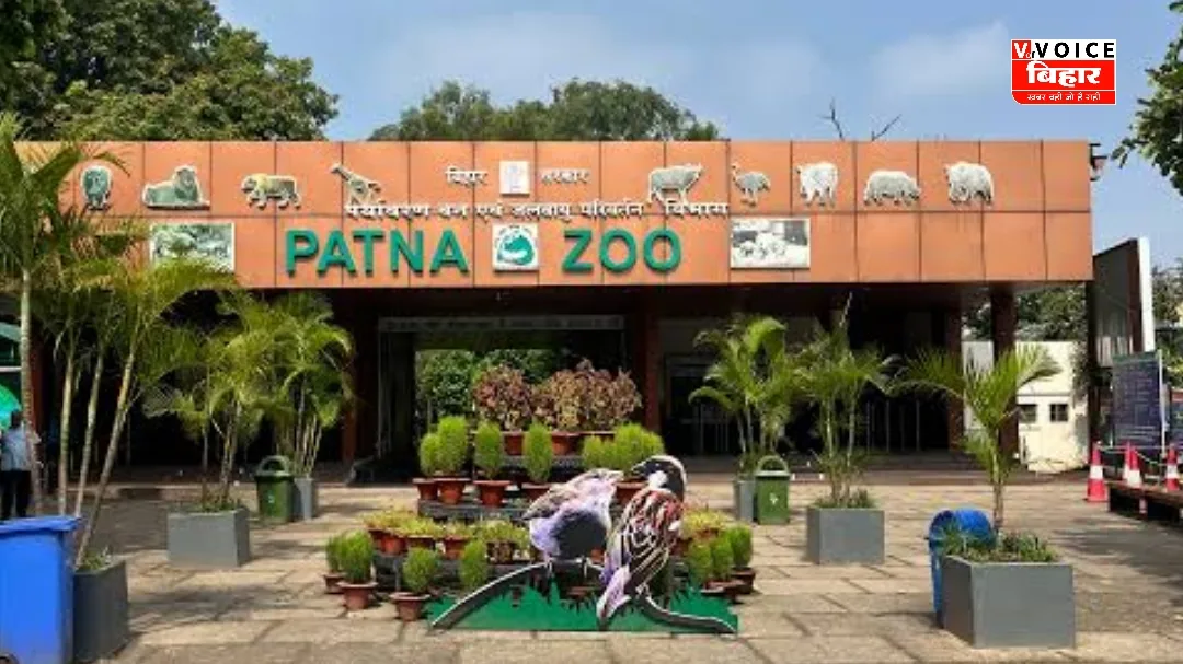 “पटना जू कल रहेगा बंद, आंधी-पानी के बाद प्रशासन का बड़ा फैसला”