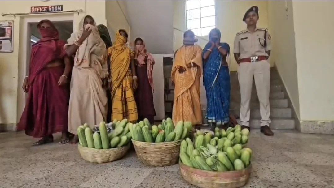 कटिहार रेलवे स्टेशन पर ‘जहरीले’ खीरे का खेल उजागर, वायरल वीडियो के बाद रेलवे प्रशासन में मचा हड़कंप 1 कटिहार रेलवे स्टेशन पर ‘जहरीले’ खीरे का खेल उजागर, वायरल वीडियो के बाद रेलवे प्रशासन में मचा हड़कंप