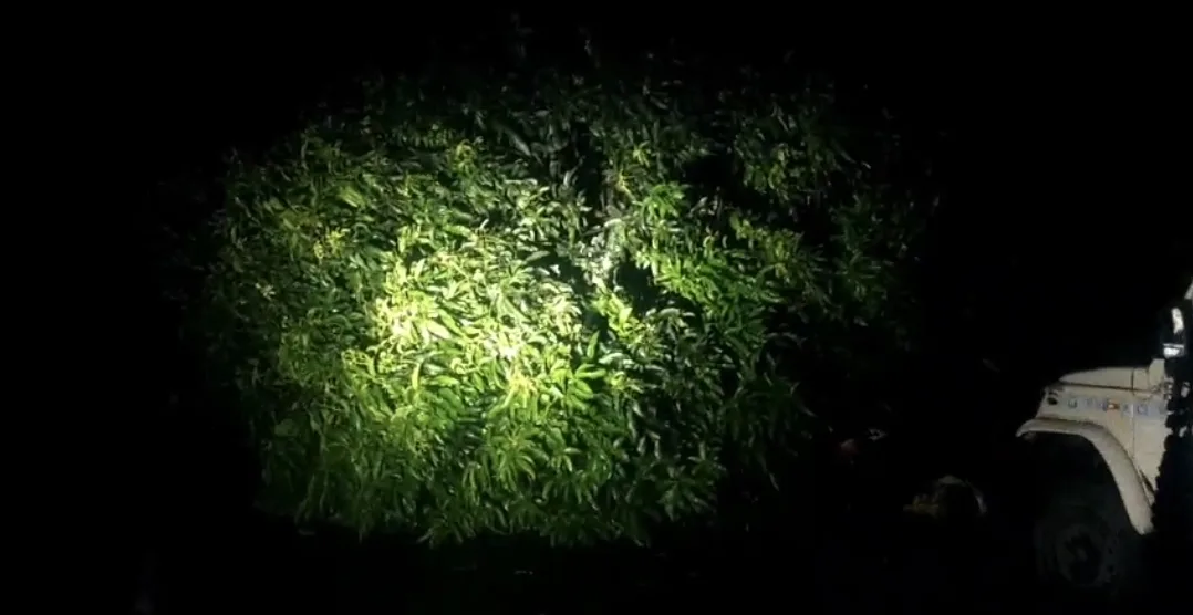 भागलपुर-दुमका हाईवे पर आंधी का कहर: सड़क पर गिरे पेड़ों से घंटों जाम, परेशान रहे लोग, पुलिस की देरी पर उठे सवाल 1 भागलपुर-दुमका हाईवे पर आंधी का कहर: सड़क पर गिरे पेड़ों से घंटों जाम, परेशान रहे लोग, पुलिस की देरी पर उठे सवाल