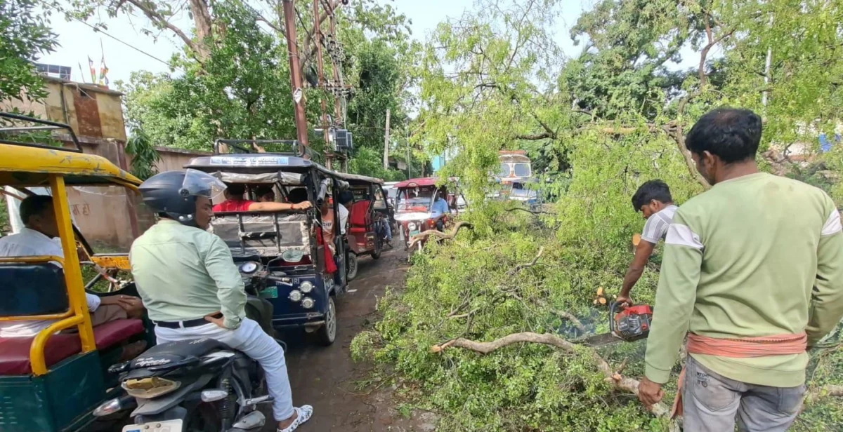 भागलपुर में चक्रवाती तूफान का कहर: 110 किमी प्रतिघंटा की रफ्तार से चली हवाएं, रातभर सड़कों से पेड़ हटाने में जुटा रहा वन विभाग