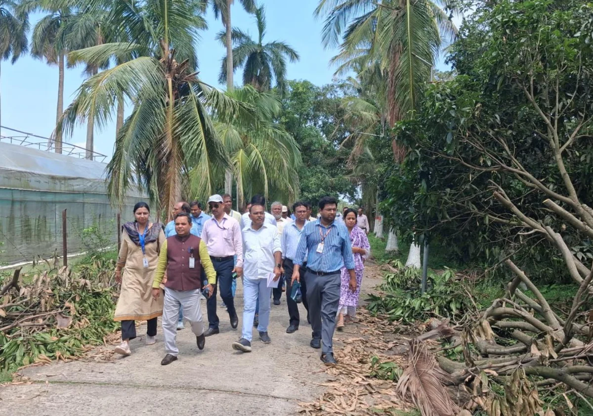 चक्रवाती तबाही से बुरी तरह प्रभावित हुआ बिहार कृषि विश्वविद्यालय सबौर, दुर्लभ आम-लीची संग्रह और अनुसंधान ढांचे को भारी नुकसान