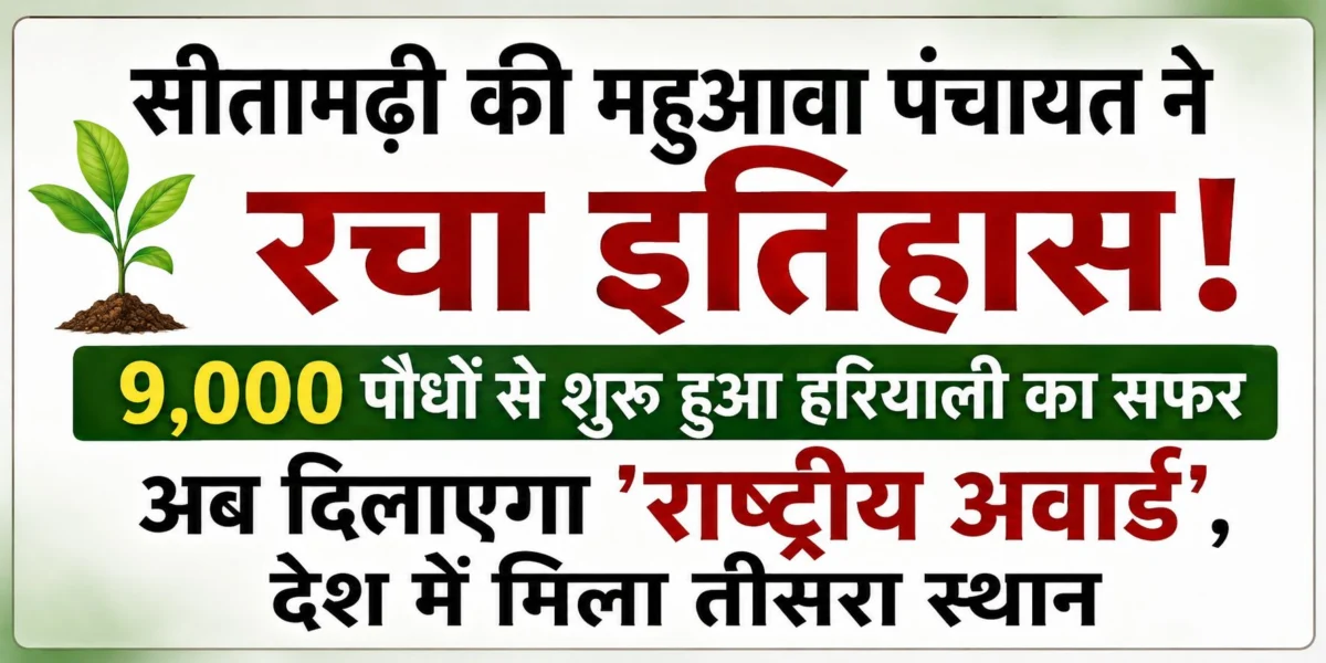 ​सीतामढ़ी की महुआवा पंचायत ने रचा इतिहास: 9,000 पौधों से शुरू हुआ हरियाली का सफर अब दिलाएगा ‘राष्ट्रीय अवार्ड’, देश में मिला तीसरा स्थान