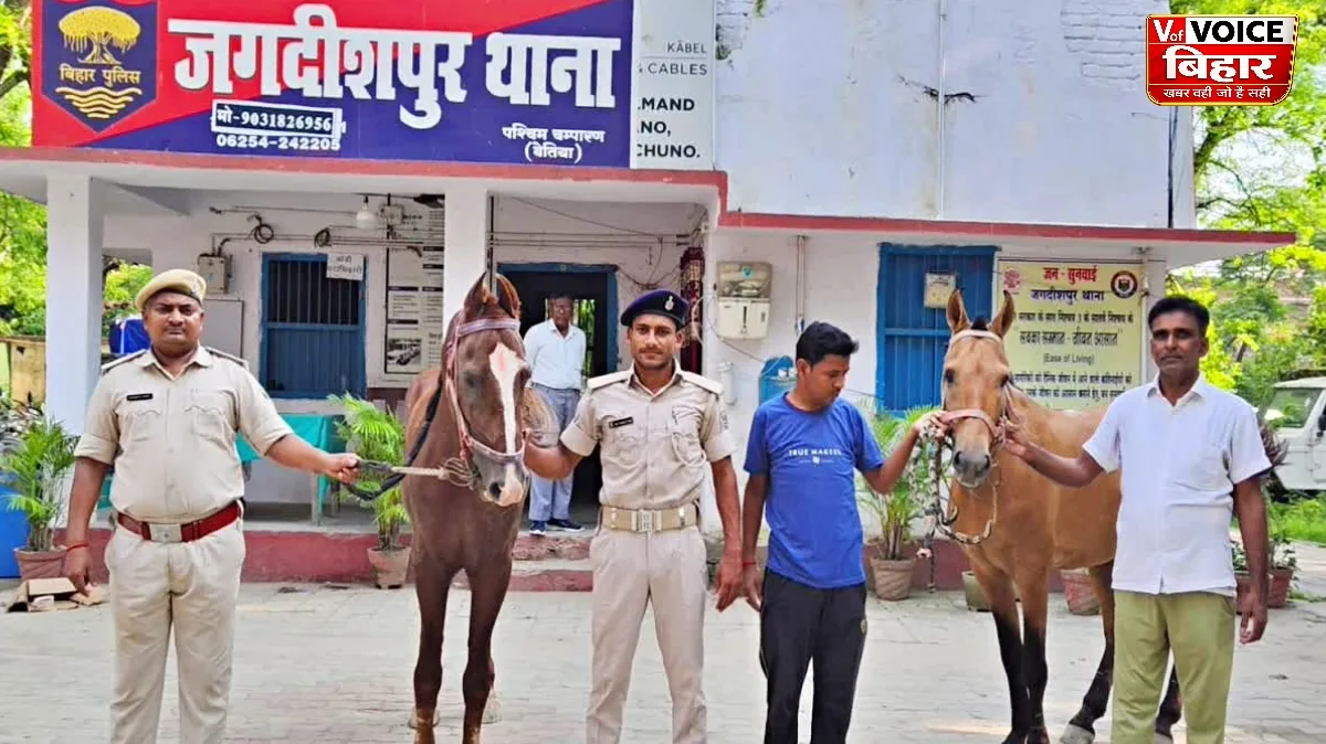 शराब तस्करी का अनोखा तरीका! बिहार में घोड़ों पर लादकर ले जाई जा रही थी विदेशी शराब, पुलिस ने 86 लीटर खेप पकड़ी
