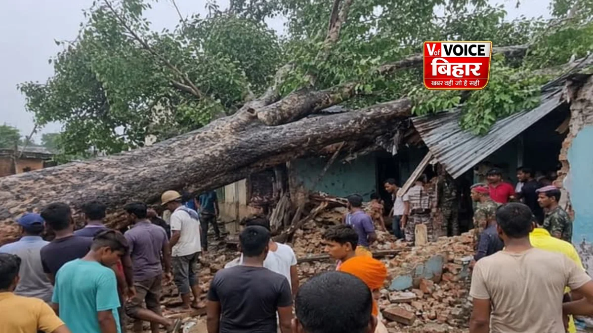 बिहार में दर्दनाक त्रासदी: आधी रात घर पर गिरा विशाल पीपल का पेड़, एक ही परिवार के 5 लोगों की मौत 1 बिहार में दर्दनाक त्रासदी: आधी रात घर पर गिरा विशाल पीपल का पेड़, एक ही परिवार के 5 लोगों की मौत