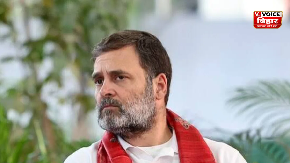झारखंड राज्यसभा चुनाव में बड़ा उलटफेर! INDIA गठबंधन के पास बहुमत फिर भी कांग्रेस हारी, परिमल नाथवानी ने मारी बाजी