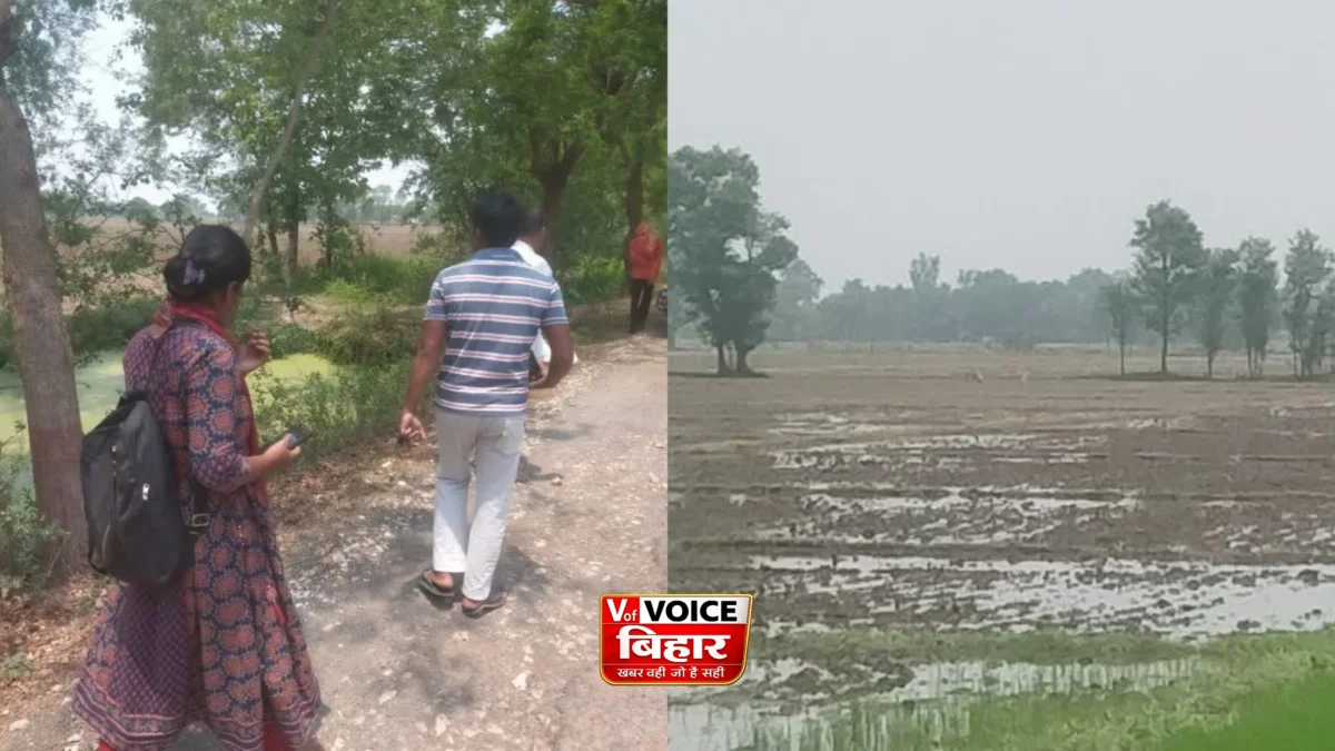 रोहतास में रहस्यमयी जंगली जानवर से दहशत, नीलगाय की मौत और कुत्ता घायल; तेंदुआ होने की पुष्टि नहीं