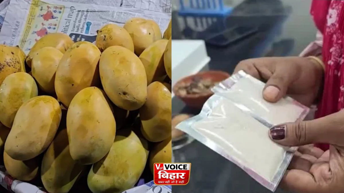 अब आम की गुठलियां भी बनेंगी कमाई का जरिया, बीएयू सबौर के वैज्ञानिकों ने विकसित की नई तकनीक