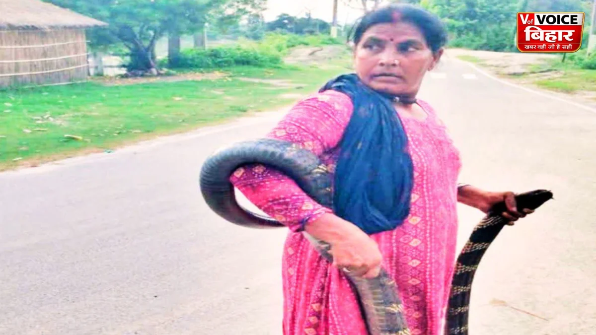 10 फीट के किंग कोबरा का रेस्क्यू पड़ा भारी: ‘स्नेक लेडी’ जानकी देवी को सांप ने डंसा, रील बनाने के आरोप में वन विभाग करेगा कार्रवाई