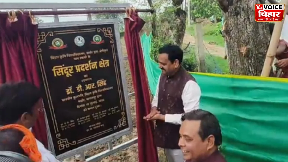 भागलपुर का रामासी बना देश का पहला ‘सिंदूर ग्राम’, बिहार कृषि विश्वविद्यालय की अनोखी पहल से महिलाओं की बढ़ेगी आय