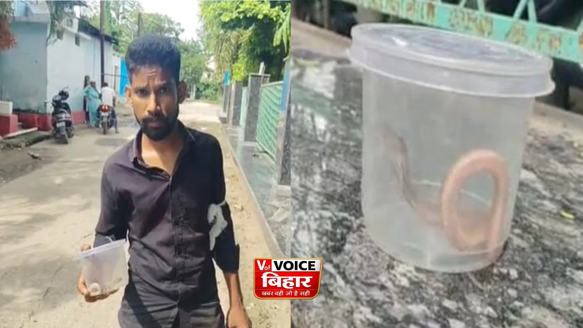 कोबरा ने डसा तो युवक ने उसी सांप को डिब्बे में बंद कर पहुंचा अस्पताल, डॉक्टर भी रह गए हैरान