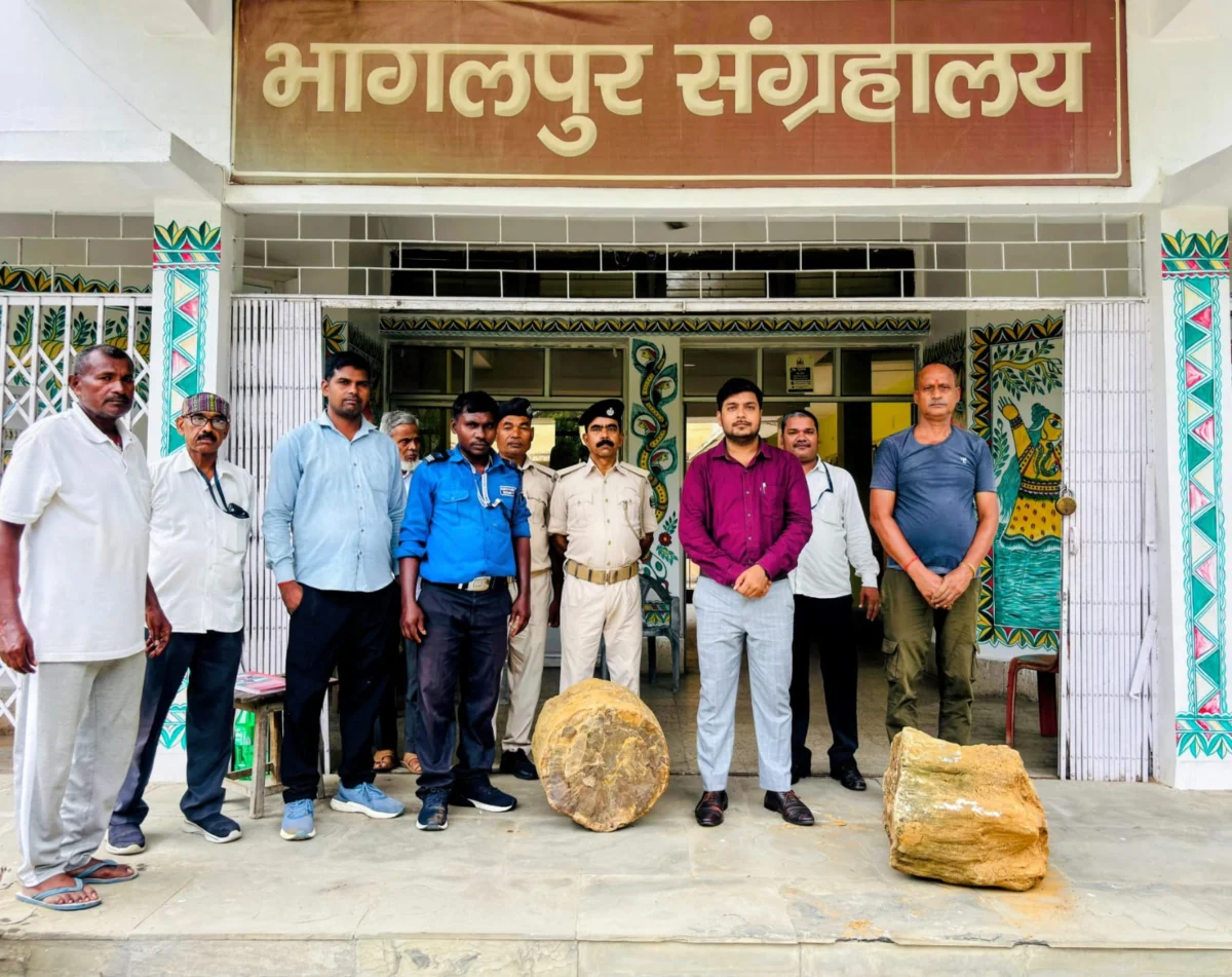 भागलपुर के सैंडिस कंपाउंड में मिले अतिप्राचीन वृक्ष जीवाश्म, संग्रहालय में सुरक्षित संरक्षित, वैज्ञानिक जांच शुरू