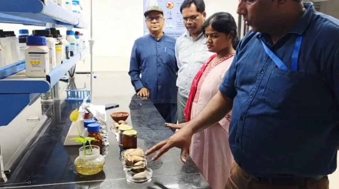 बीएयू सबौर के वैज्ञानिकों की बड़ी उपलब्धि, आम की गुठली से तैयार किया हाइड्रोजेल; किसानों की आय बढ़ाने की खुली नई राह