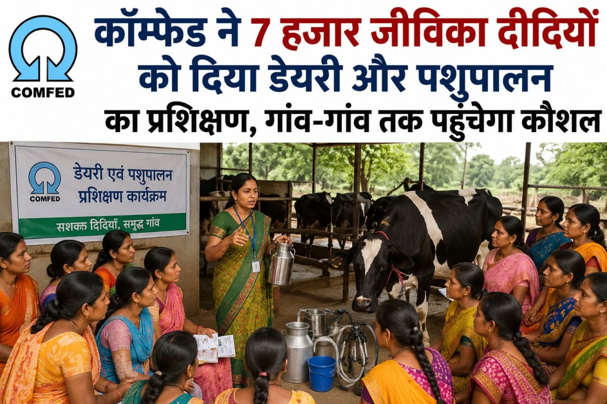 कॉम्फेड ने 7 हजार जीविका दीदियों को दिया डेयरी और पशुपालन का प्रशिक्षण, गांव-गांव तक पहुंचेगा कौशल