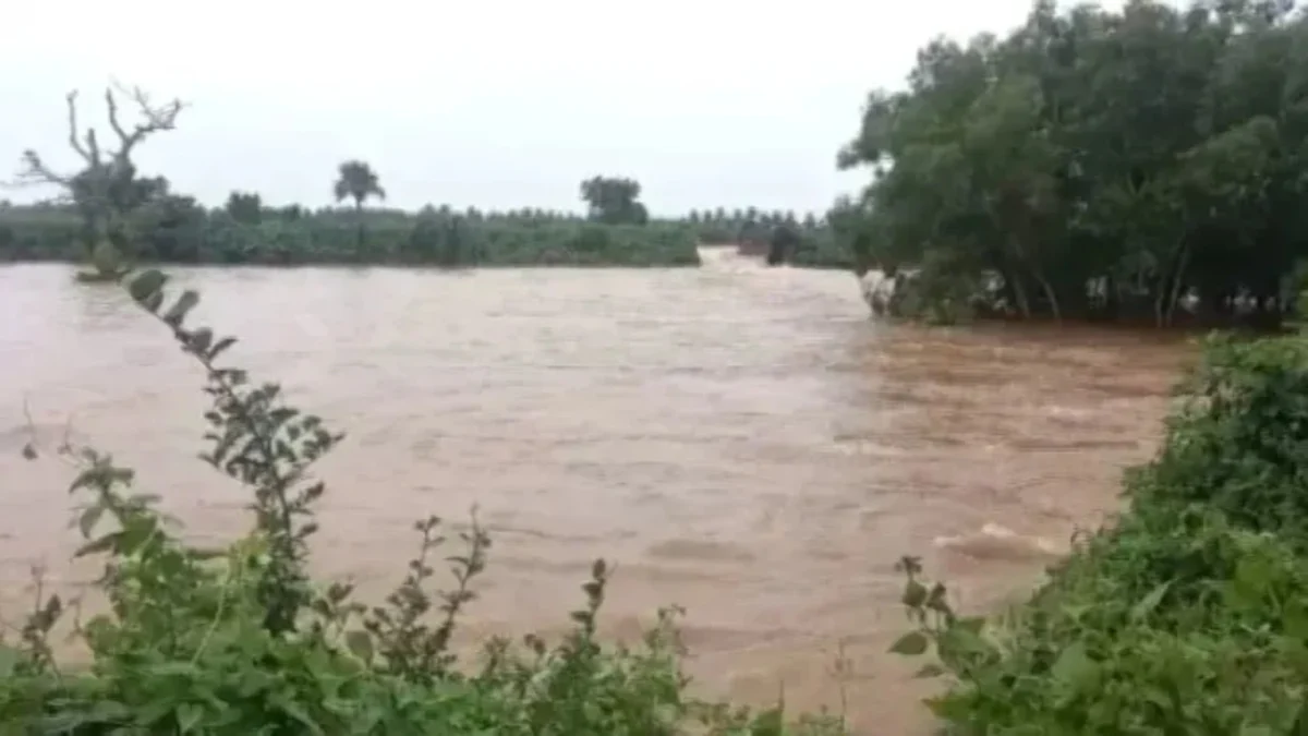 नेपाल में भारी बारिश से उफान पर बागमती नदी, खतरे का निशान पार; बिहार के कई गांवों में बाढ़ का खतरा बढ़ा